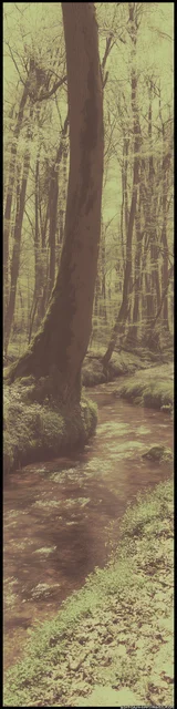 Free aesthetic bookmark featuring green moss